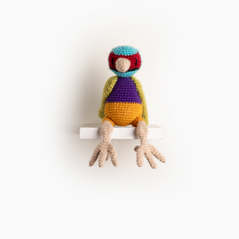 Ezra the Gouldian Finch Crochet Pattern